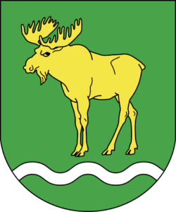 Coat_of_Arms_of_Rasony,_Belarus.svg
